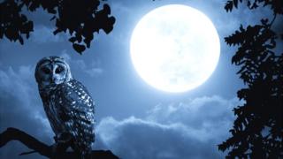 Una luna llena
