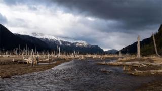 Paisaje patagónico