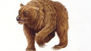 Пећински медвед - из руке илустратора