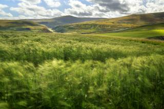Summer Breeze by Geoff Kell