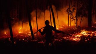 Пожарный из Национальной Республиканской Гвардии GIPS работает над пожаром в лесу после того, как 19 июня 2017 года в городе Педроньо-Гранде, в округе Лейрия, Португалия в результате пожара погибли десятки людей