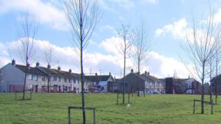 Housing Executive homes