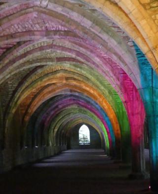 Colourful lights on a cellarium