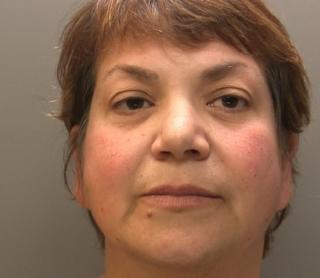 Electrotherapy warning over bogus psychiatrist Zholia Alemi