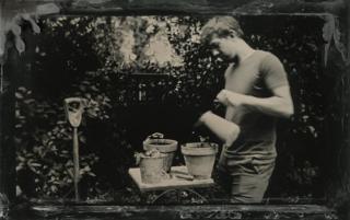 Watering plants