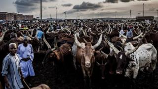 Ndị Fulani ọchịehi