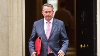 Liam Fox leaves 10 Downing Street after a cabinet meeting