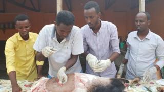 Dr Dubbad oo qalliin ku samaynaaya ri' ay ilmo ku qaloocdeen