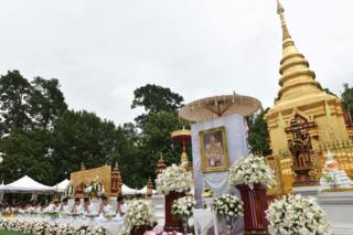 หมูป่ากราบร.10
