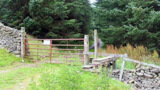 Caberston Forest