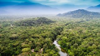 அமேசான் காடு உலகின் நுரையீரல் இல்லை: பிரேசில் அதிபர் சயீர் பொல்சனாரூ ஐ.நாவில் உரை (அமேசான் காடு கோப்புப் படம்)