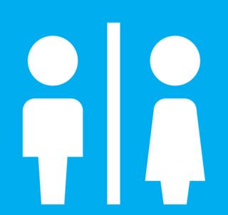 A new symbol for the toilet - BBC News