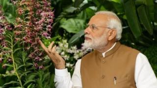 மோதி