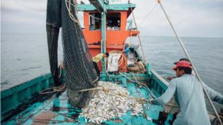 Fishermen and farmers in Asia go digital during virus.