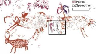 Sulawesi Art: Animal Painting Found In Cave Is 44,000 Years Old - BBC News