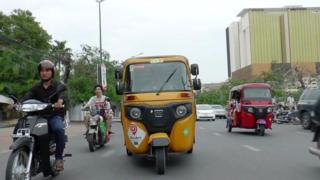 ဖနွမ်ပင်က တုတ်တုတ်နဲ့ သူ့ပြိုင်ဘက်သစ်