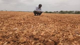 వజ్రాల అన్వేషణ, జియోలాజికల్ సర్వే ఆఫ్ ఇండియా