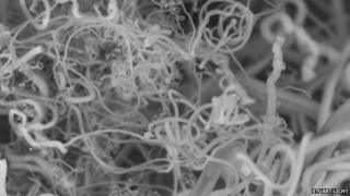 microscopic view of the nanofibres