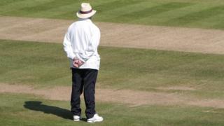 Cricket umpire