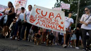 Кубинцы выступают против жестокого обращения с животными, что считается первой независимой демонстрацией, разрешенной в стране