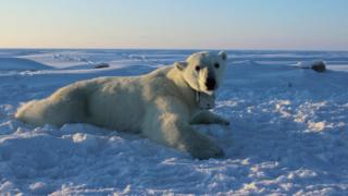(Foto: Anthony Pagano / USGS)