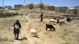 دو تن از میلیونها صاحب اصلی زبان زنده و بالندۀ فارسی، که بدون احتیاج به رهبری خالو خرسانۀ منجیان و مصلحان پسامدرنیست، با زندگی خودشان نگهدارندۀ گمنام و بیادّعای زبان فارسی بودهاند و هستند و خواهند بود