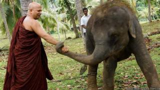 Uduwe Dhammaloka Thero