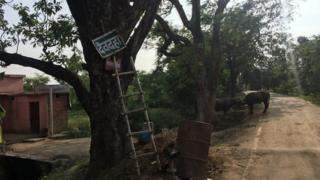 आनंद कुमार का गांव