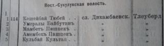 1916-жылы Санкт-Петербургда басылып чыккан «Материалы по обследованию туземного и старожильческого хозяйства в Семиреченской области» (Пишпекский уезд Т.VII) аттуу китептеги Мамбет Пишпек жана Аманбек Пишпектер жөнүндөгү маалыматтын сүрөтү.
