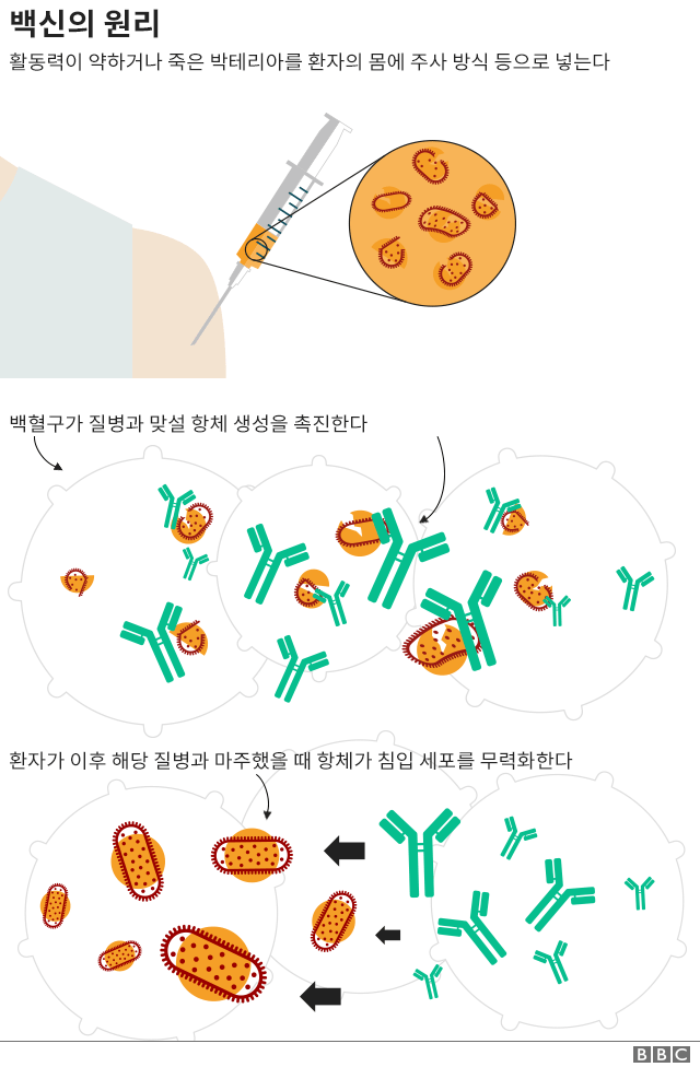 백신의 원리