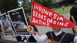 Bebas daging anjing