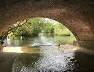 River flowing under a bridge