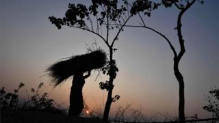 गोधूली बेला में महिला घास का गट्ठर लिए अपने घर लौट रही है