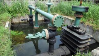 Ụmị mmanụ agbidi