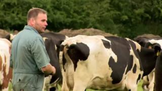 Farmer Ian McGrath with cows