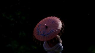 A woman holds a parasol in Washington