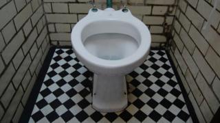 Toilet inside the public convenience at South End Green near Hampstead Heath - 8 August 2009