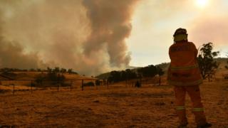 Australia Fires Were Far Worse Than Any Prediction - BBC News