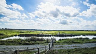 Carlton Marshes