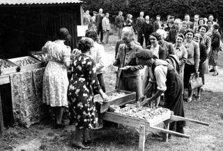 Bank of England staff buying fruit at Hurstbourne Camp, Hampshire, 1942