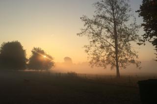 Christ Church meadow, Oxford