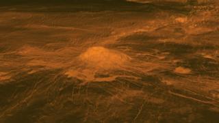 Venus