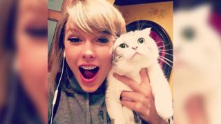 Taylor Swift with her cat Meredith.