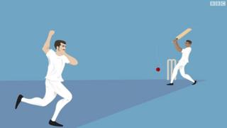cricket