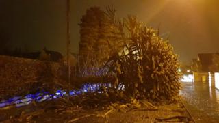 A tree across a road on Old Belfast Road in Bangor