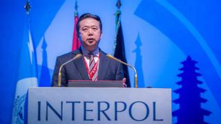 Meng Hongwei