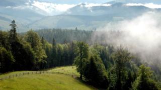 Ранок у Карпатах