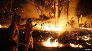 Firefighters try to control a bushfire