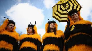 Beekepers протестуют в парламенте в 2013 году