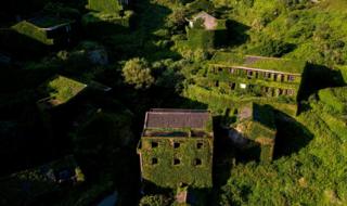 Abandoned village houses covered with overgrown vegetation in Houtouwan on Shengshan island